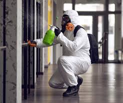 Environmental Consulting for Mold Prevention in De Pere, WI